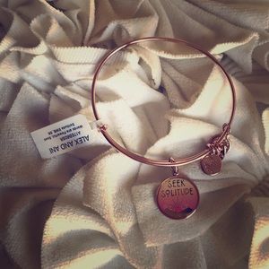 Alex Ani Bangle New Seek Solitude